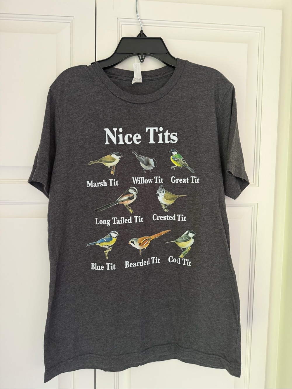 Bird 🐦 Lovers “Nice T*ts” Canvas Charcoal Gray Graphic Tee - Picture 1 of 5